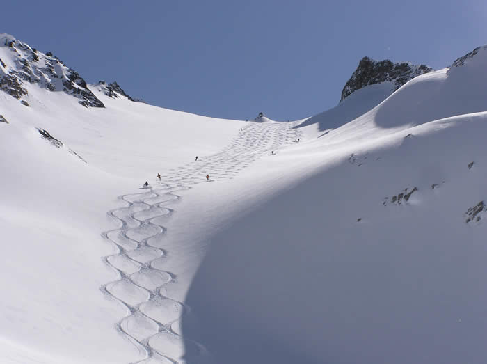 Reasons Why Every Skier Should Go Heli Skiing - Fresh Snow Tracks